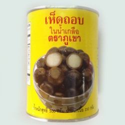 เห็ดถอบในน้ำเกลือ 24 กระป๋อง- กระป๋องเหลือง คัดพิเศษ (500 กรัม) - 24 กระป๋อง